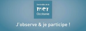 un cycle de webinaires sur les enjeux liés à la protection de la Méditerranée et aux sciences participatives