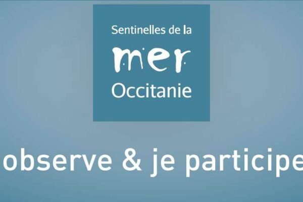 un cycle de webinaires sur les enjeux liés à la protection de la Méditerranée et aux sciences participatives