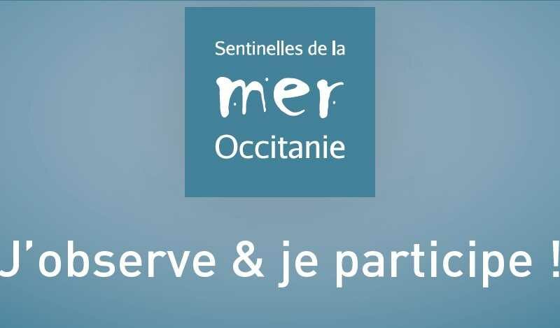 un cycle de webinaires sur les enjeux liés à la protection de la Méditerranée et aux sciences participatives